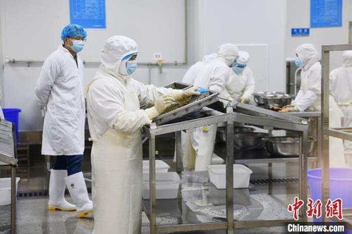 爾濱 帶起 特產(chǎn)大摸底 ,我老家也開出 隱藏款