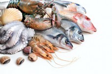 海鮮圖庫(kù)新寵 聚焦尤魚(yú)素材，一站式滿足你的設(shè)計(jì)與靈感需求